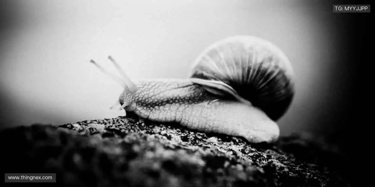 ⚡巅峰对决,心跳与欢呼同频!🏆